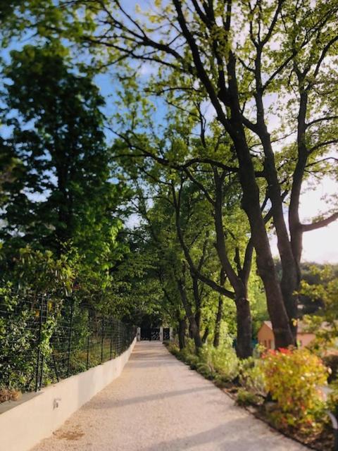 Villa Francine ブック・ベル・エール エクステリア 写真